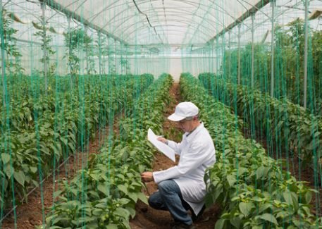 pro-de-img2-457x325 pro-de-img2-457x325